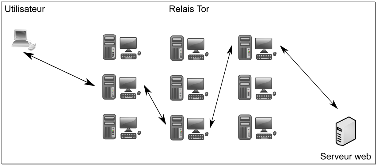 Tor